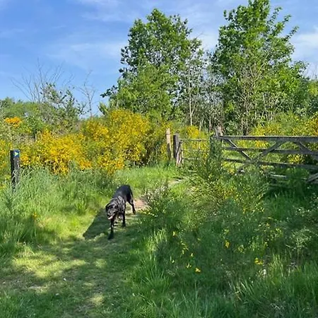 Дом отдыха Charming Log By A Beautiful *