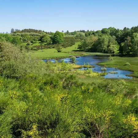Charming Log By A Beautiful Novling