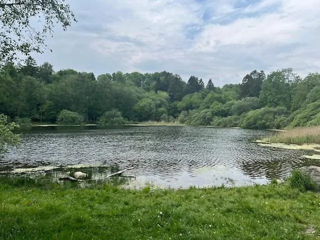 Charming Log By A Beautiful Svenstrup